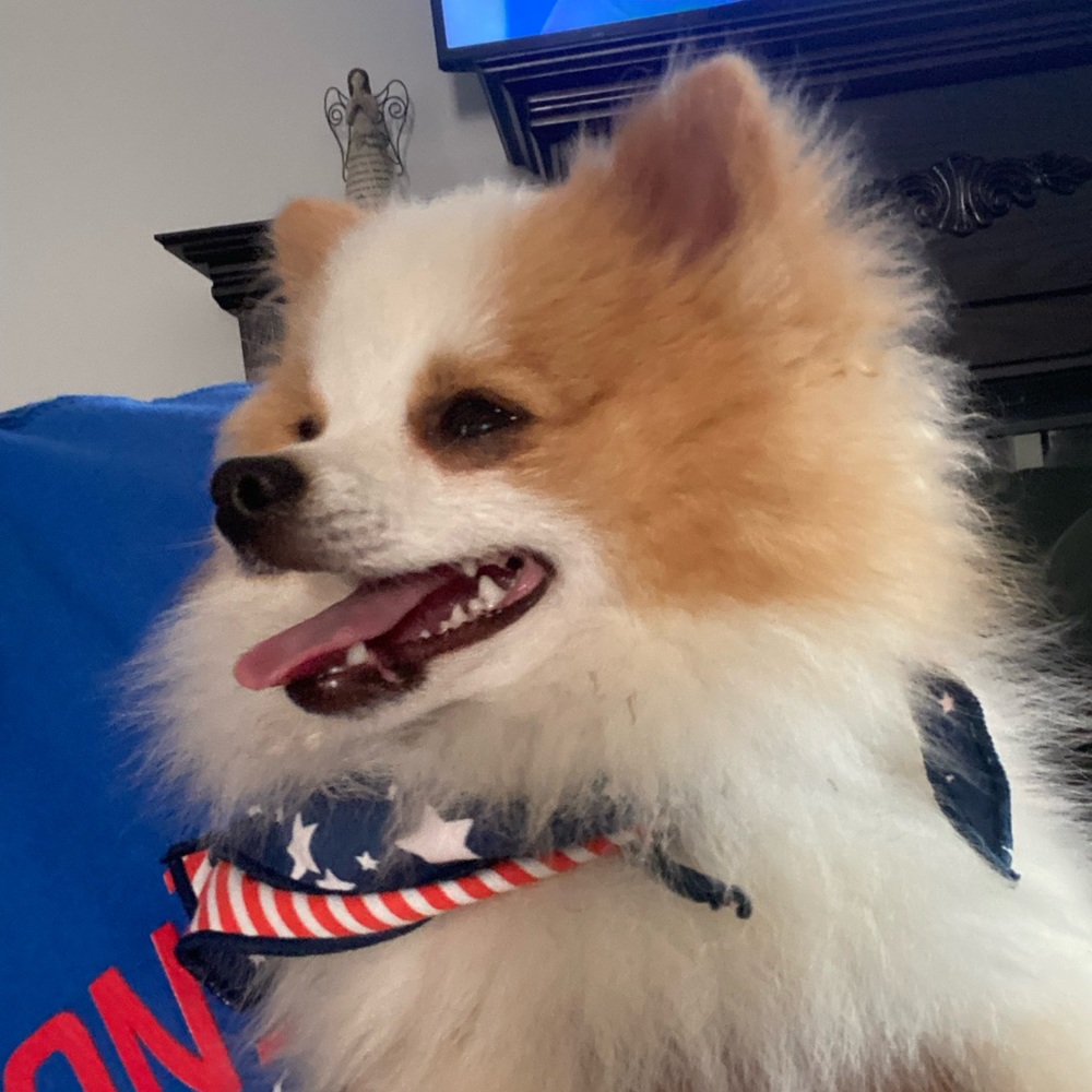 Meet your Posher, Daniela